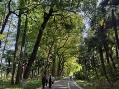 -采石矶景区