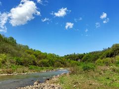 -黄椅山火山森林公园
