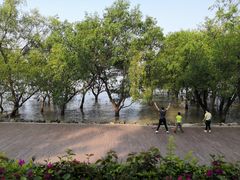 -宝安西湾红树林湿地公园