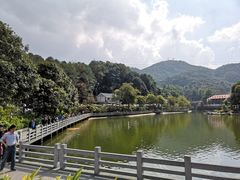 -广州市帽峰山景区