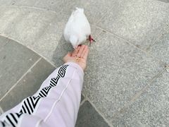 -南宫五洲植物乐园