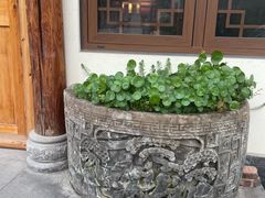 -马村鱼头