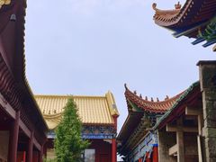 -长沙黑麋峰国家森林公园