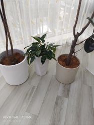 -HEYAN荷妍专业脱毛连锁机构