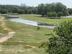 -北京麋鹿生态实验中心