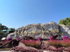 -北京西山国家森林公园