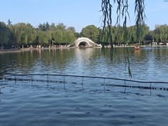 -洛阳市隋唐城遗址植物园