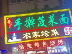 -秦君宝手擀菠菜面(金花路店)