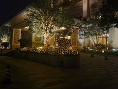 -上海浦东星河湾酒店
