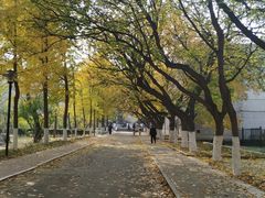 -山东师范大学(千佛山校区)
