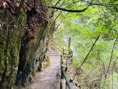 -神农架香溪源景区