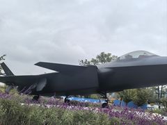 -成飞公园
