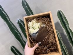 -AKIRA 安久日式美甲美睫