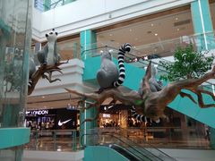 -大族广场Mall&More