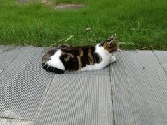 -中国药科大学（江宁校区）-图书馆