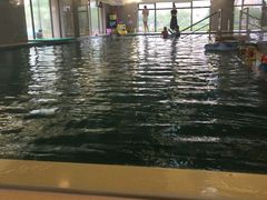 -BlueBubble蓝泡泡婴幼儿游泳会所(合川路店)