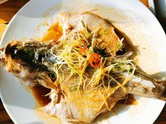 清蒸鲈鱼-YAFEE雅菲·粤菜·湘菜·融合菜(魏公村店)