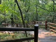 -天目湖山水园