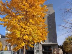 -北京化工大学(东校区)