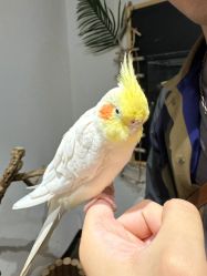 -Zoolung Zoolung动物主题公园(海信广场店)