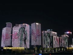 -钱江新城灯光秀