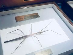 -上海昆虫博物馆
