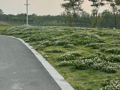-苏州湾体育公园