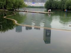 -天鹅湖体育公园
