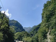 -西安祥峪森林公园