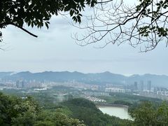 -大奇山国家森林公园