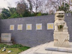 -菊花台公园