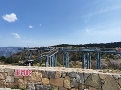 -王莽岭风景区
