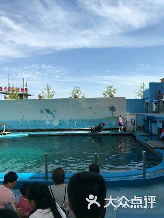 秦皇岛新澳海底世界图片-北京海洋馆-大众点评网