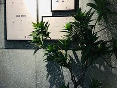 -莓超疯