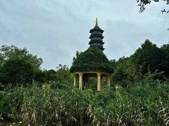 -重庆园博园