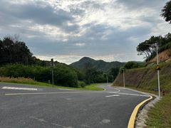 -黄埔油麻山森林公园