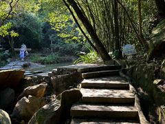 -广州白江湖森林公园