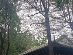 -陈白沙纪念馆