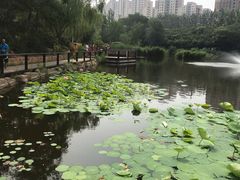 -前关湿地公园