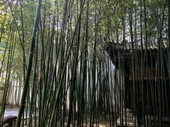 -陕拾叁(袁家村店)
