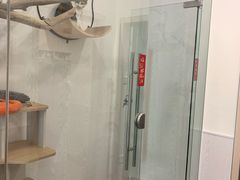 -凯特喵百思猫专科医院