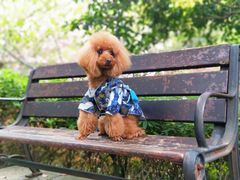 -杭州半山国家森林公园