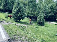 -新疆那拉提国家旅游度假区