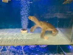 -永辉超市(萧山宝龙广场店)