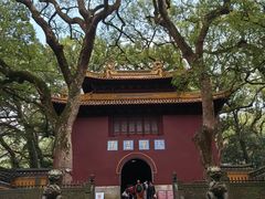 -普陀山风景名胜区-法雨禅寺