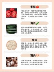 -Fundi张玉珊修身堂·indiba·BTL科技瘦身