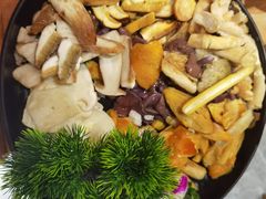 -一朵菌·野生菌探索家火锅(南亚店)