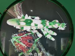 -上海昆虫博物馆