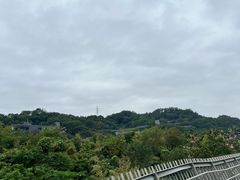 -福道