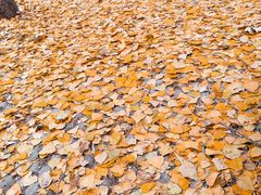 -蟠龙山长城景区